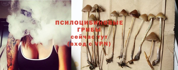 apvp Богородицк