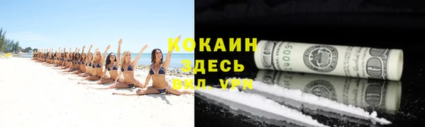 apvp Богородицк