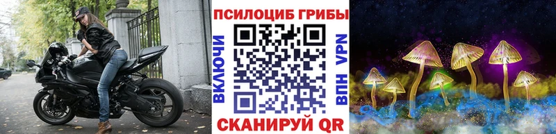 закладка shop состав Галлюциногенные грибы прущие грибы Севастополь